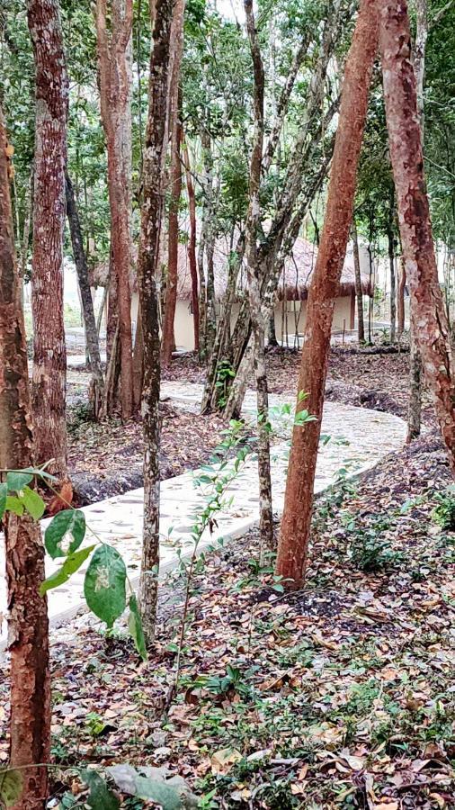 Aldea Maya Ferienhaus