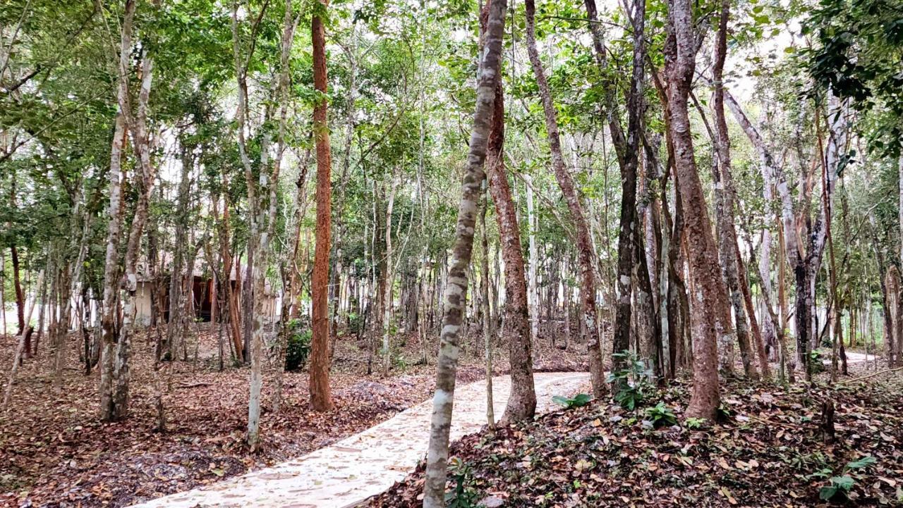 Aldea Maya Ferienhaus *
